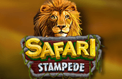 Safari Stampede slot
