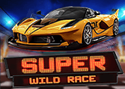 Super Wild Race slot