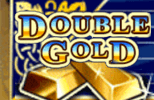 Double Gold slot