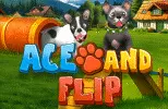 Ace and Flip slot