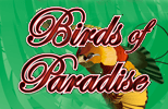 Birds of Paradise slot